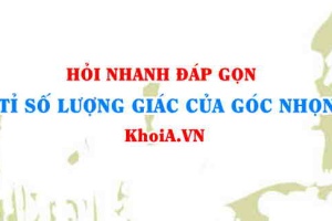 Tỉ số lượng giác của góc nhọn trong tam giác vuông Toán lớp 9 - Hỏi nhanh đáp gọn